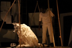 White Dog 40 * 6240 x 4160 * (5.85MB)